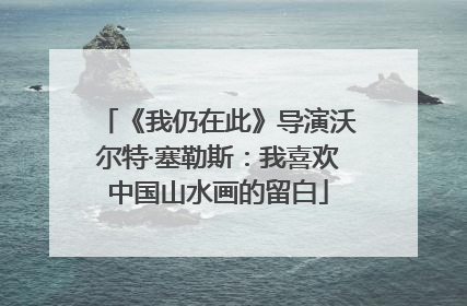 《我仍在此》导演沃尔特·塞勒斯：我喜欢中国山水画的留白