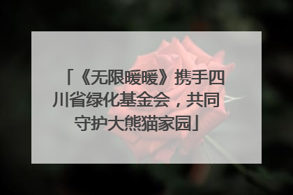 《无限暖暖》携手四川省绿化基金会，共同守护大熊猫家园