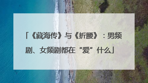 《藏海传》与《折腰》：男频剧、女频剧都在“爱”什么