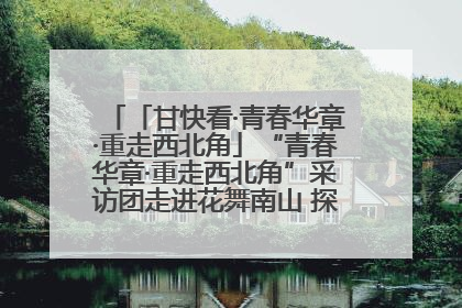 「甘快看·青春华章·重走西北角」“青春华章·重走西北角”采访团走进花舞南山 探寻天水乡村振兴之路