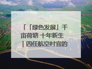 「绿色发展」千亩荷塘 十年新生｜四任航空村官的“生态接力”