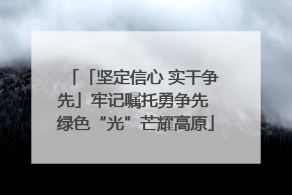 「坚定信心 实干争先」牢记嘱托勇争先 绿色“光”芒耀高原