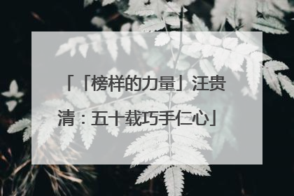 「榜样的力量」汪贵清：五十载巧手仁心