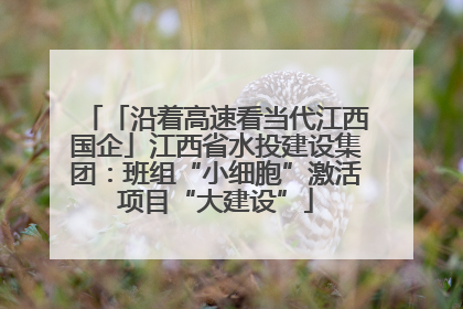 「沿着高速看当代江西国企」江西省水投建设集团：班组“小细胞”激活项目“大建设”