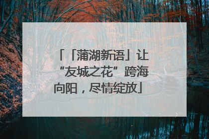「蒲湖新语」让“友城之花”跨海向阳，尽情绽放