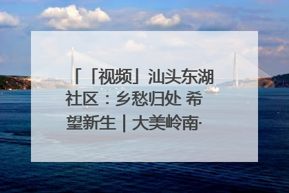 「视频」汕头东湖社区：乡愁归处 希望新生｜大美岭南·百村焕新记