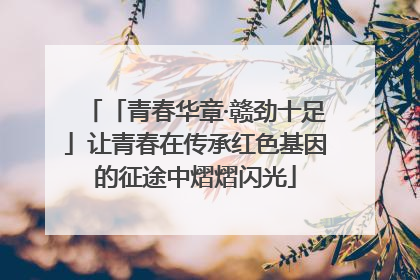 「青春华章·赣劲十足」让青春在传承红色基因的征途中熠熠闪光