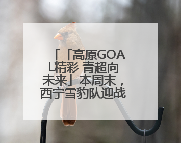 「高原GOAL精彩 青超向未来」本周末，西宁雪豹队迎战果洛格萨尔队