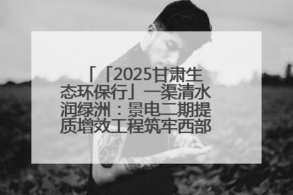 「2025甘肃生态环保行」一渠清水润绿洲：景电二期提质增效工程筑牢西部生态安全屏障