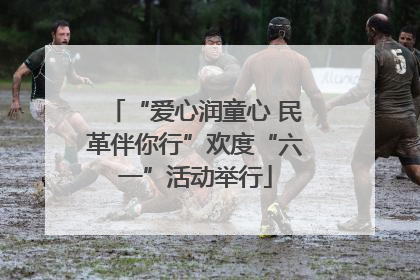 “爱心润童心 民革伴你行”欢度“六一”活动举行