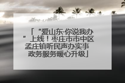 “爱山东·你说我办”上线！枣庄市市中区孟庄镇听民声办实事 政务服务暖心升级