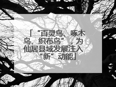 “百灵鸟、啄木鸟、织布鸟”，为仙居县域发展注入“新”动能