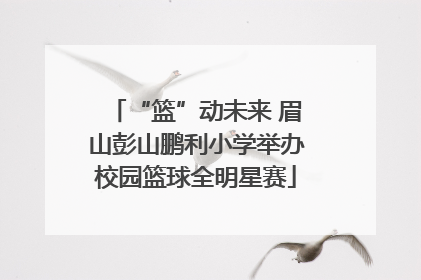 “篮”动未来 眉山彭山鹏利小学举办校园篮球全明星赛