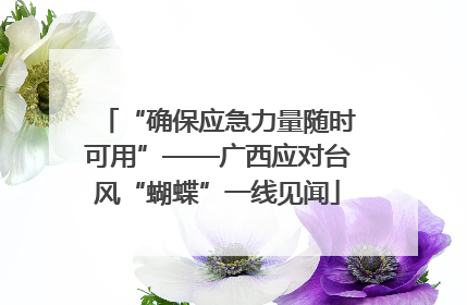 “确保应急力量随时可用”——广西应对台风“蝴蝶”一线见闻