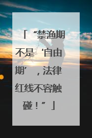 “禁渔期不是‘自由期’，法律红线不容触碰！”