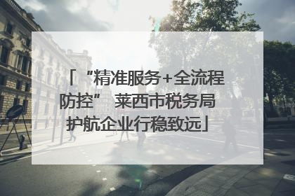 “精准服务+全流程防控” 莱西市税务局护航企业行稳致远