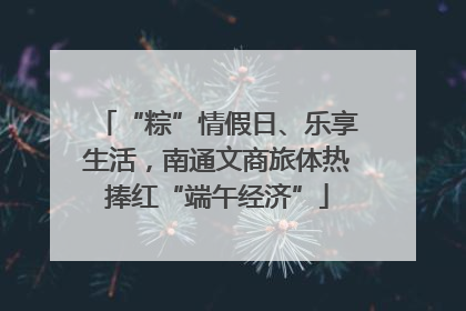 “粽”情假日、乐享生活，南通文商旅体热捧红“端午经济”