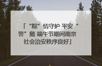 “粽”情守护 平安“警”随 端午节期间南京社会治安秩序良好
