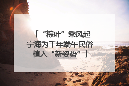 “粽叶”乘风起 宁海为千年端午民俗植入“新姿势”