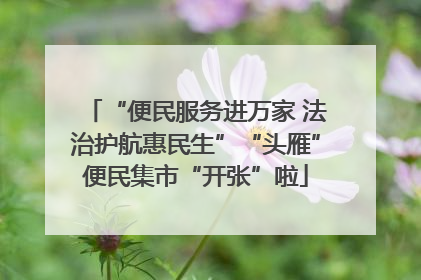 “便民服务进万家 法治护航惠民生”“头雁”便民集市“开张”啦