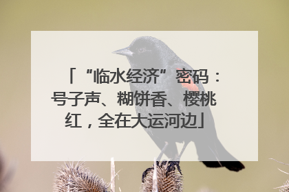 “临水经济”密码：号子声、糊饼香、樱桃红，全在大运河边