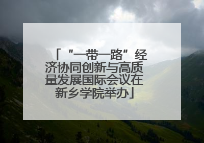 “一带一路”经济协同创新与高质量发展国际会议在新乡学院举办