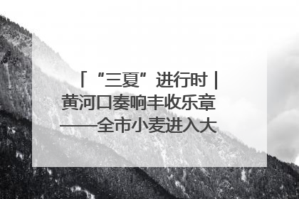 “三夏”进行时｜黄河口奏响丰收乐章——全市小麦进入大面积收获高峰期