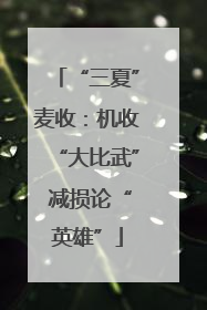 “三夏”麦收：机收“大比武” 减损论“英雄”