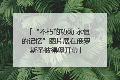 “不朽的功勋 永恒的记忆”图片展在俄罗斯圣彼得堡开幕