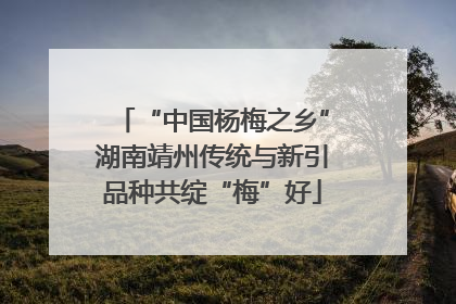 “中国杨梅之乡”湖南靖州传统与新引品种共绽“梅”好