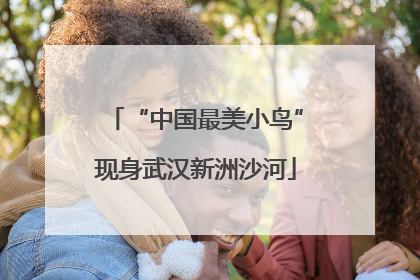 “中国最美小鸟”现身武汉新洲沙河
