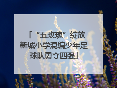 “五玫瑰”绽放 新城小学混编少年足球队勇夺四强
