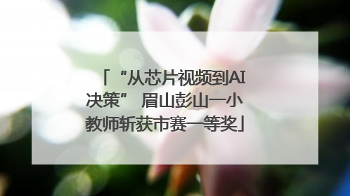 “从芯片视频到AI决策” 眉山彭山一小教师斩获市赛一等奖
