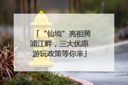 “仙境”亮相黄浦江畔，三大优惠游玩政策等你来