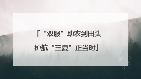 “双服”助农到田头 护航“三夏”正当时