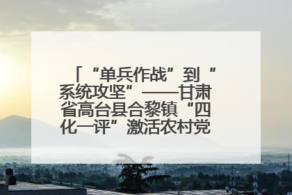 “单兵作战”到“系统攻坚”——甘肃省高台县合黎镇“四化一评”激活农村党员管理新引擎
