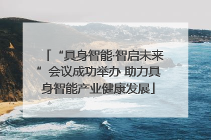 “具身智能·智启未来”会议成功举办 助力具身智能产业健康发展