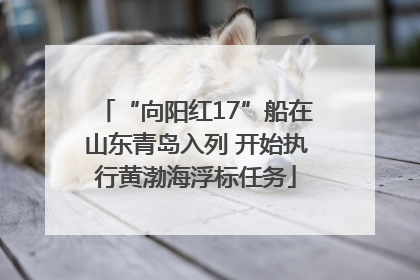 “向阳红17”船在山东青岛入列 开始执行黄渤海浮标任务