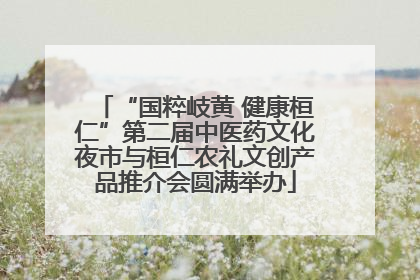 “国粹岐黄 健康桓仁”第二届中医药文化夜市与桓仁农礼文创产品推介会圆满举办