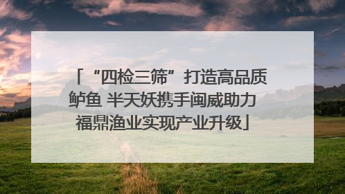 “四检三筛”打造高品质鲈鱼 半天妖携手闽威助力福鼎渔业实现产业升级