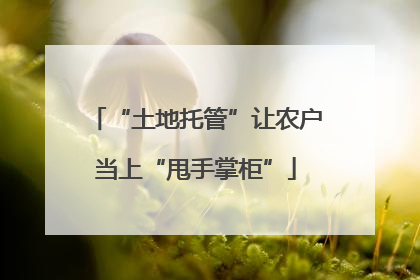 “土地托管”让农户当上“甩手掌柜”