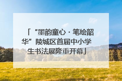 “墨韵童心・笔绘韶华”陵城区首届中小学生书法展隆重开幕