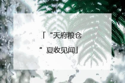 “天府粮仓”夏收见闻