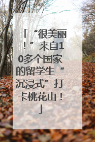 “很美丽！”来自10多个国家的留学生“沉浸式”打卡桃花山！