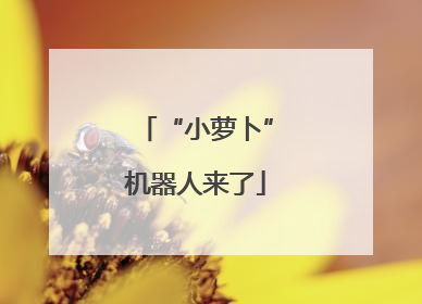 “小萝卜”机器人来了