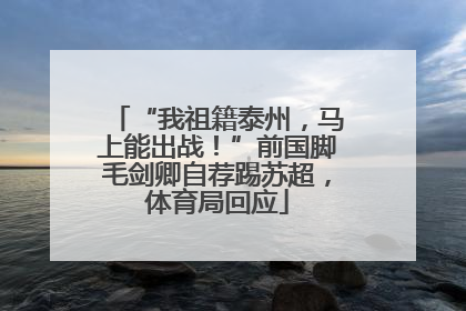 “我祖籍泰州，马上能出战！”前国脚毛剑卿自荐踢苏超，体育局回应