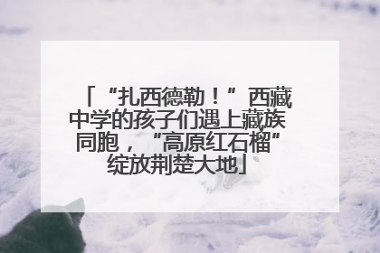 “扎西德勒！”西藏中学的孩子们遇上藏族同胞，“高原红石榴”绽放荆楚大地