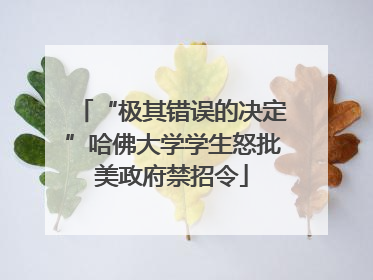 “极其错误的决定”哈佛大学学生怒批美政府禁招令