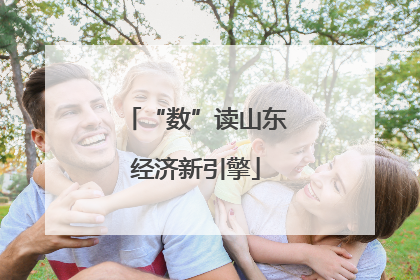 “数”读山东经济新引擎