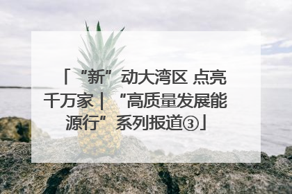 “新”动大湾区 点亮千万家｜“高质量发展能源行”系列报道③